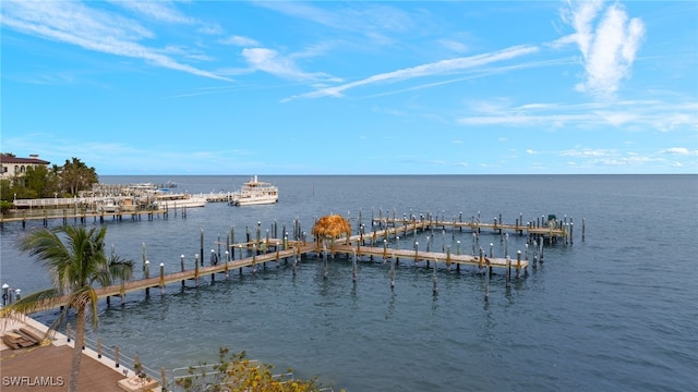 27 Urchin Ct, Captiva, FL 33924 - photo 44