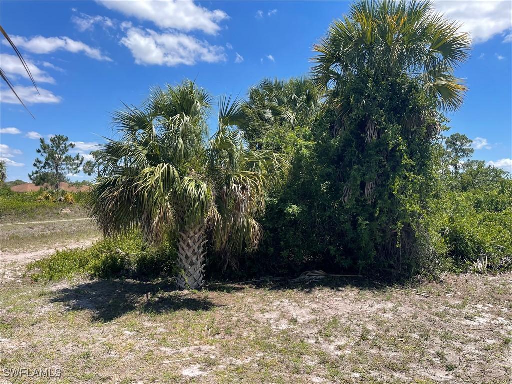 3101 55th St W, Lehigh Acres, FL 33971 - photo 3