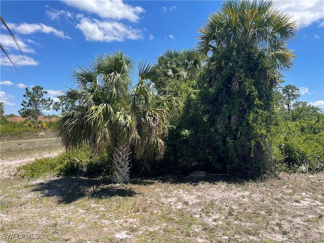 3101 55th St W, Lehigh Acres, FL 33971 - photo 3