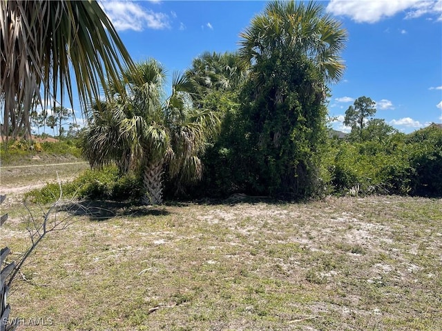 3101 55th St W, Lehigh Acres, FL 33971 - photo 1