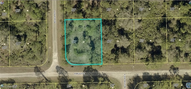 1231 Ramus St E, Lehigh Acres, FL 33974 - photo 10