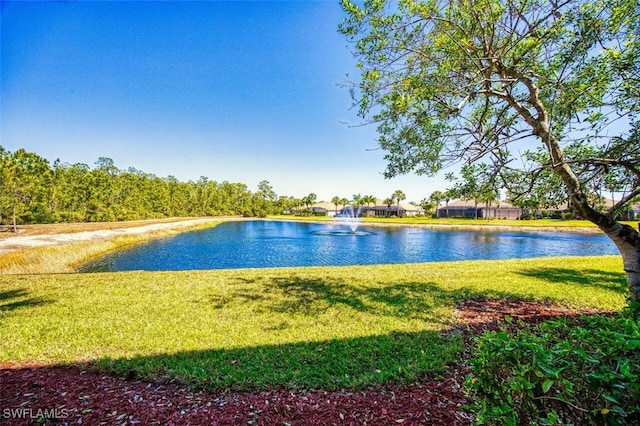 11029 Mill Creek Way Unit 406, Fort Myers, FL 33913 - photo 18