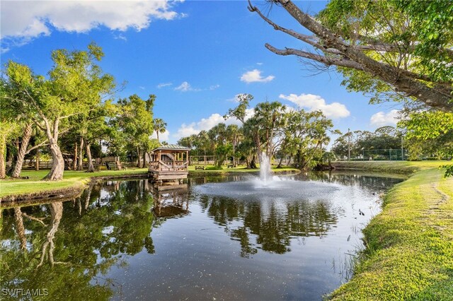 3998 Hidden Acres Cir S, North Fort Myers, FL 33903 - photo 31