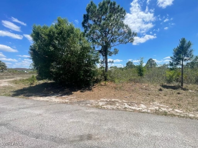 2901 55th St W, Lehigh Acres, FL 33971 - photo 4