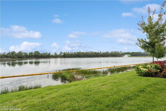 19781 Marino Lake Cir Unit B4-101, Miromar Lakes, FL 33913 - photo 25