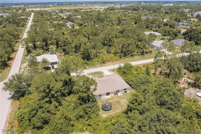 341 Lillon Ave S, Lehigh Acres, FL 33974 - photo 35