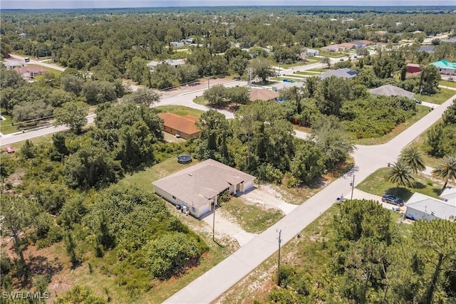 341 Lillon Ave S, Lehigh Acres, FL 33974 - photo 42