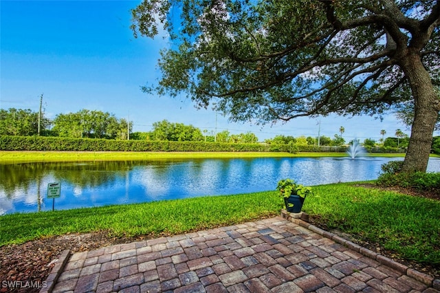 10058 Pacific Pines Ave, Fort Myers, FL 33966 - water view