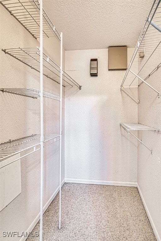 10058 Pacific Pines Ave, Fort Myers, FL 33966 - spacious closet with carpet
