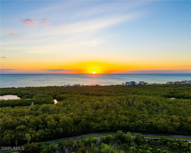 7117 Pelican Bay Blvd Unit 1903, Naples, FL 34108 - aerial view at dusk of a water view and a view of trees
