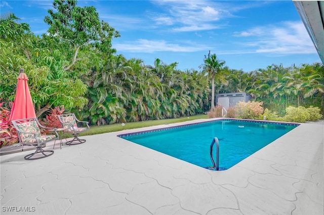 2127 SW 49th Ter, Cape Coral, FL 33914 - outdoor pool featuring a patio area
