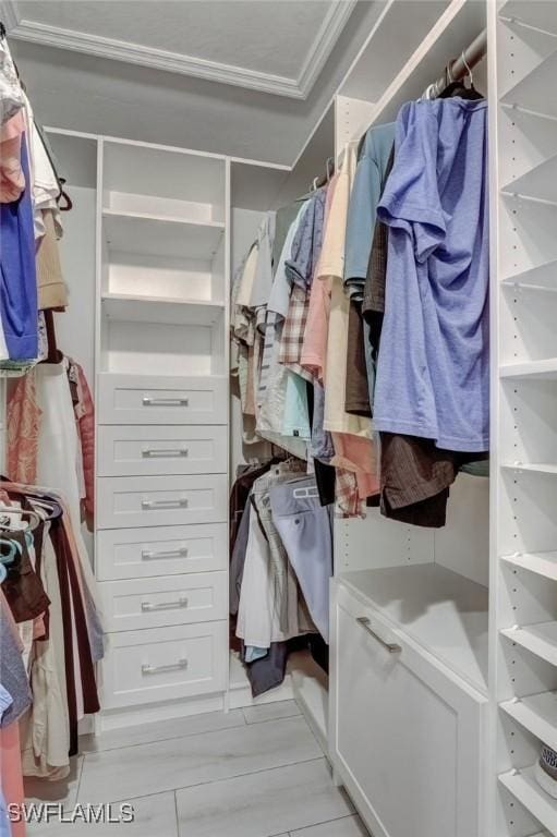 12170 Kelly Greens Blvd Unit 88, Fort Myers, FL 33908 - view of walk in closet