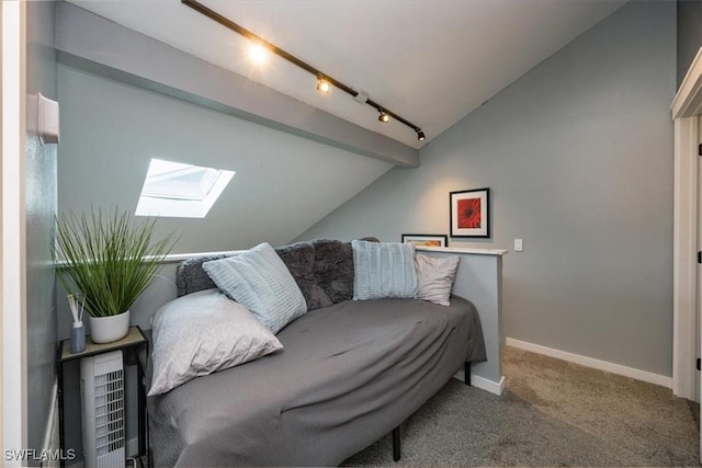 13405 Fox Chapel Ct, Fort Myers, FL 33919 - living room featuring lofted ceiling, a skylight, carpet, and track lighting