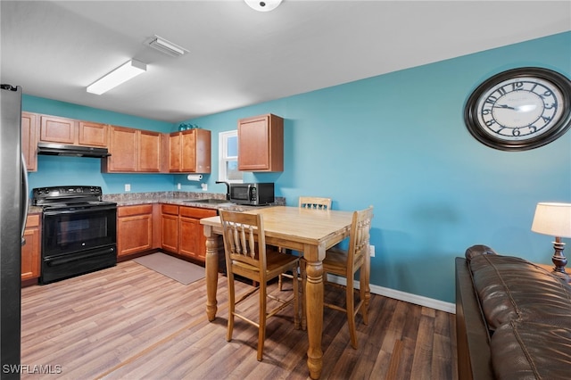 1100 NW 20th St, Cape Coral, FL 33993 - kitchen with stainless steel appliances, under cabinet range hood, light wood-style floors, and light countertops