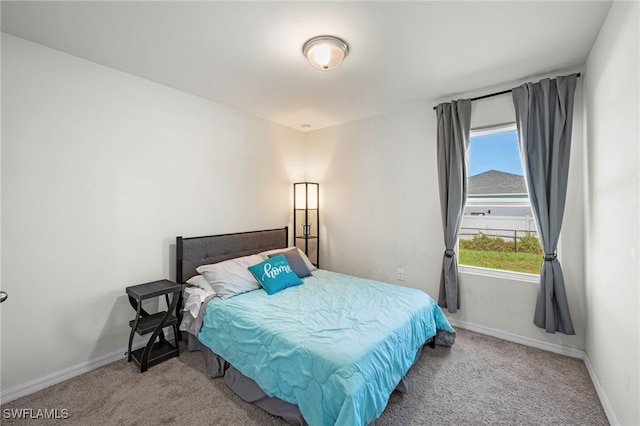 1100 NW 20th St, Cape Coral, FL 33993 - carpeted bedroom with multiple windows