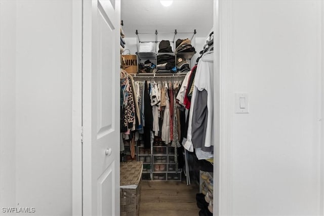 605 SW 18th Ter, Cape Coral, FL 33991 - walk in closet featuring wood finished floors