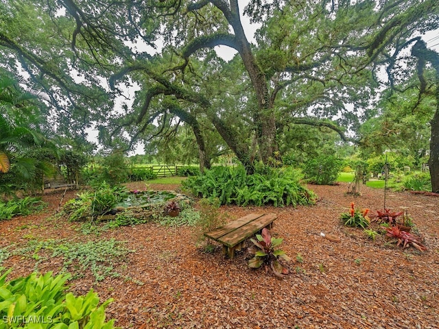 21950 N River Rd, Alva, FL 33920 - view of yard
