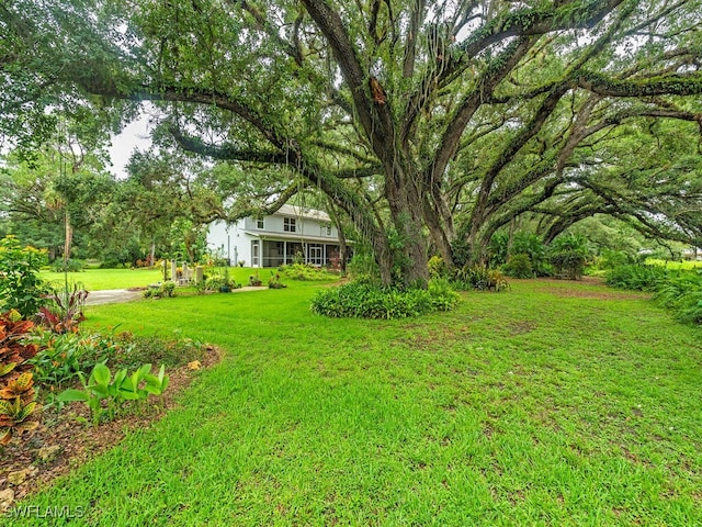21950 N River Rd, Alva, FL 33920 - view of grassy yard