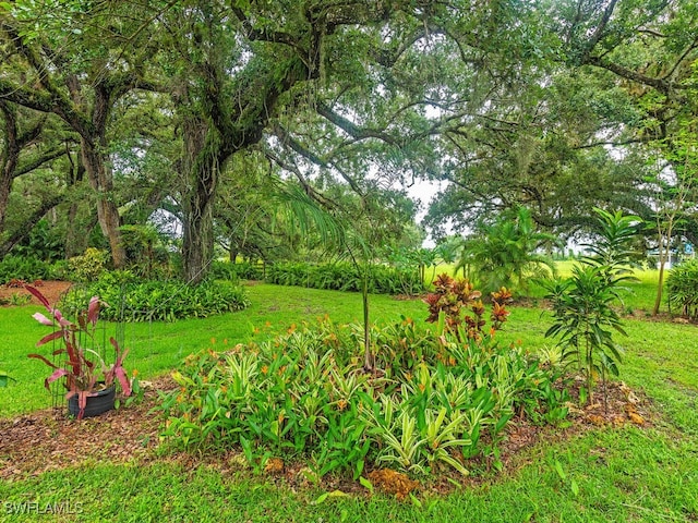 21950 N River Rd, Alva, FL 33920 - view of green lawn