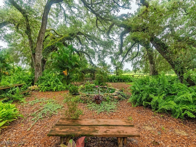 21950 N River Rd, Alva, FL 33920 - view of home's community