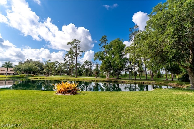 15250 Riverbend Blvd Unit 101, North Fort Myers, FL 33917 - water view
