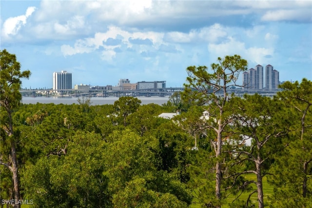 15250 Riverbend Blvd Unit 101, North Fort Myers, FL 33917 - water view featuring nearby urban area and a notable bridge