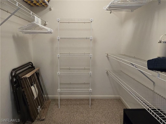 345 Mango St Unit 505, Fort Myers Beach, FL 33931 - walk in closet with carpet flooring