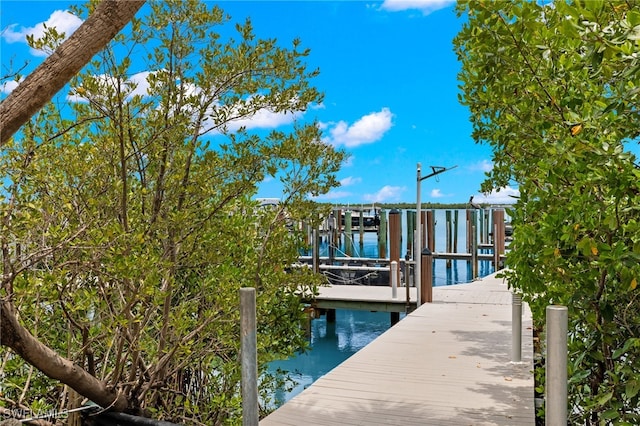 1212 Blue Hill Creek Dr, Marco Island, FL 34145 - photo 17