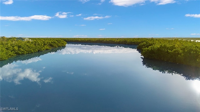 1212 Blue Hill Creek Dr, Marco Island, FL 34145 - photo 11