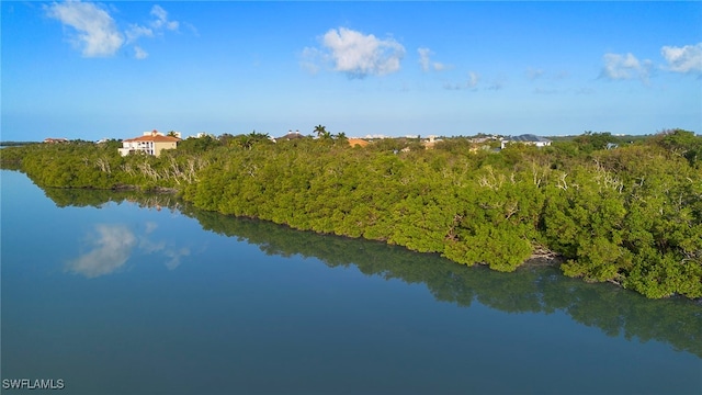 1212 Blue Hill Creek Dr, Marco Island, FL 34145 - photo 13
