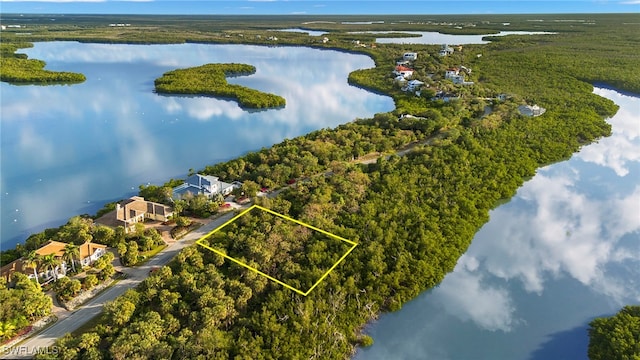 1212 Blue Hill Creek Dr, Marco Island, FL 34145 - photo 4