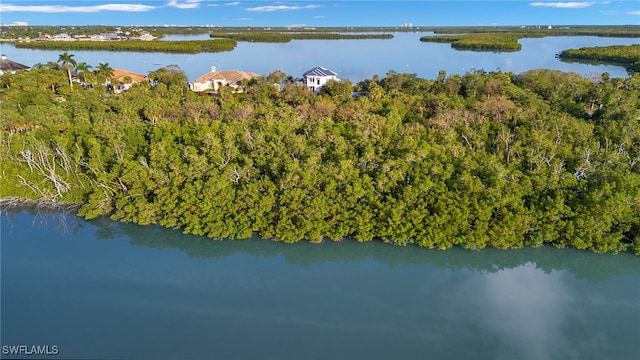 1212 Blue Hill Creek Dr, Marco Island, FL 34145 - photo 10