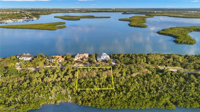 1212 Blue Hill Creek Dr, Marco Island, FL 34145 - photo 9
