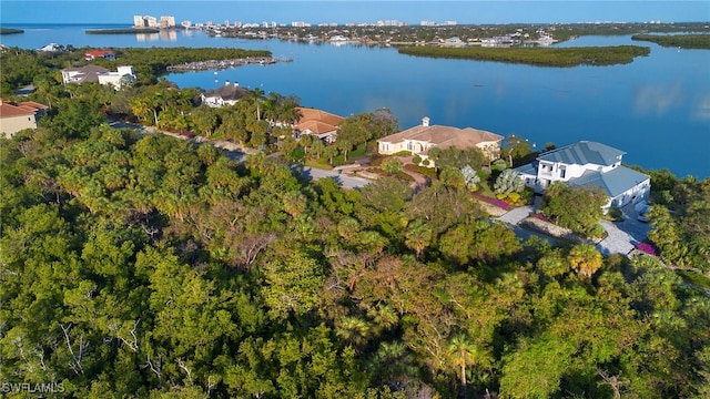 1212 Blue Hill Creek Dr, Marco Island, FL 34145 - photo 14