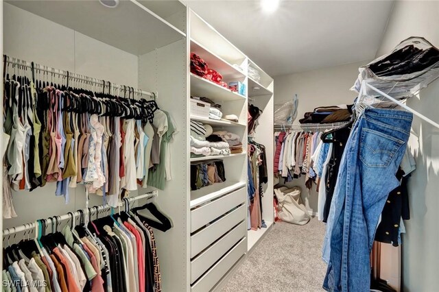 43837 Cattleman Dr, Punta Gorda, FL 33982 - spacious closet with carpet floors