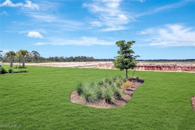 43837 Cattleman Dr, Punta Gorda, FL 33982 - view of green lawn with a view of countryside