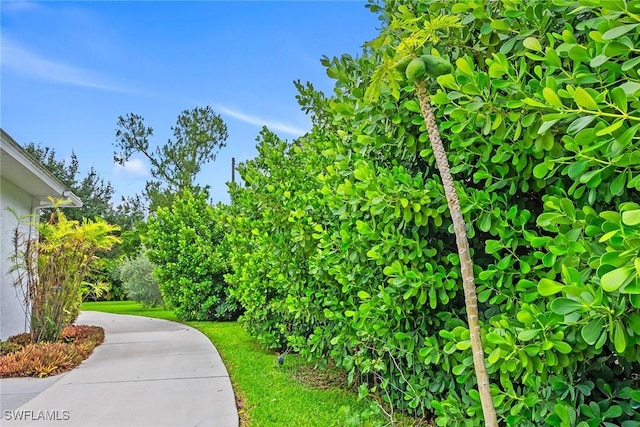 5730 Golden Gate Parkway, Naples, FL 34116 - photo 48