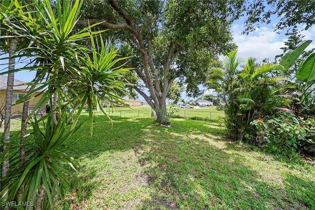 1720 NW 14th Pl, Cape Coral, FL 33993 - view of yard