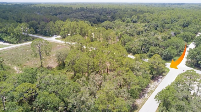3201 E 14th St, Lehigh Acres, FL 33972 - photo 6