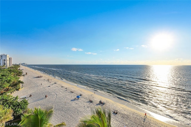 9051 Gulf Shore Dr Unit 602, Naples, FL 34108 - photo 43