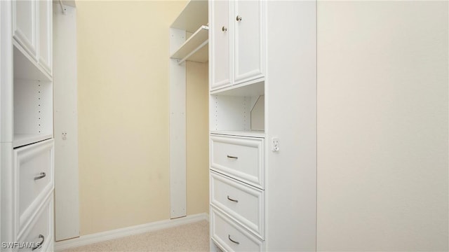 3668 Treasure Cove Ct, Naples, FL 34114 - spacious closet with light carpet
