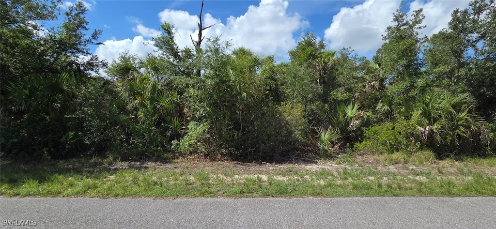 14431 Fuchsia Ave, Port Charlotte, FL 33953