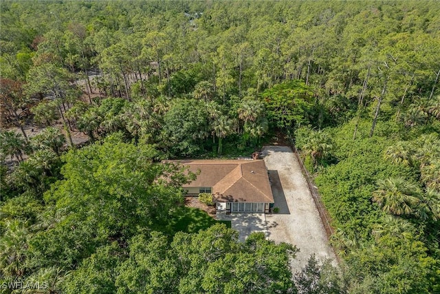 3210 2nd Ave SE, Naples, FL 34117 - view of subject property featuring a forest