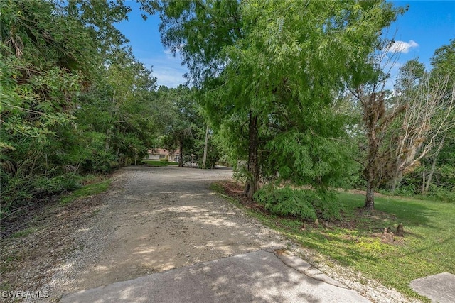 3210 2nd Ave SE, Naples, FL 34117 - view of dirt / gravel road
