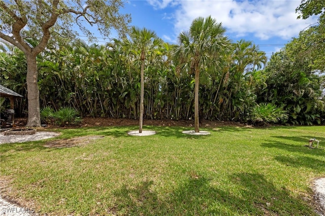 18011 Parkridge Ct, Fort Myers, FL 33908 - photo 47