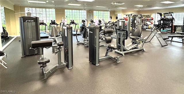 20608 Long Pond Rd, North Fort Myers, FL 33917 - exercise room with plenty of natural light