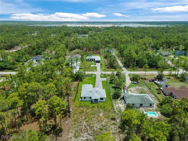 4325 47th Ave NE, Naples, FL 34120 - aerial overview of property's location featuring a heavily wooded area and a nearby body of water