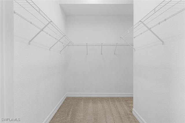 16142 Via Solera Cir Unit 103, Fort Myers, FL 33908 - spacious closet with carpet floors