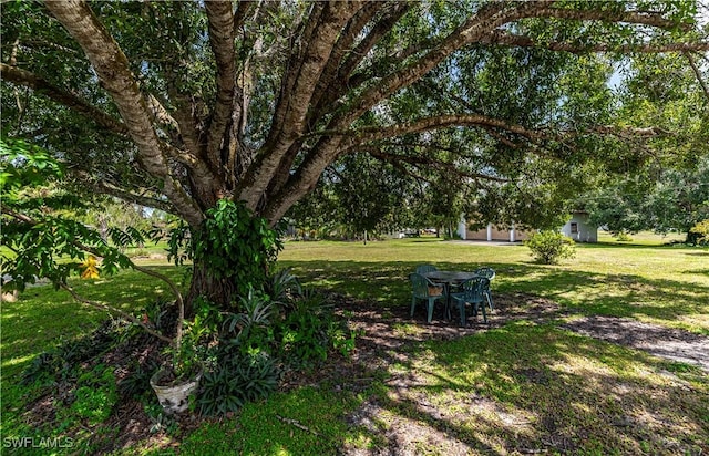 1038 Seminole Cir, Moore Haven, FL 33471 - photo 4