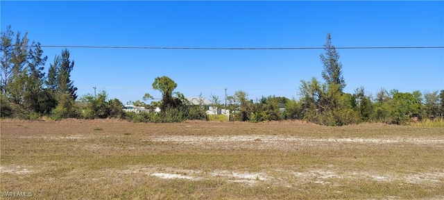 1407 NW 24th Ter, Cape Coral, FL 33993 - photo 4